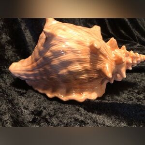 10292 ATLANTIC MOLD Large Ceramic Conch Shell Planter /Pot Pink White Glazed